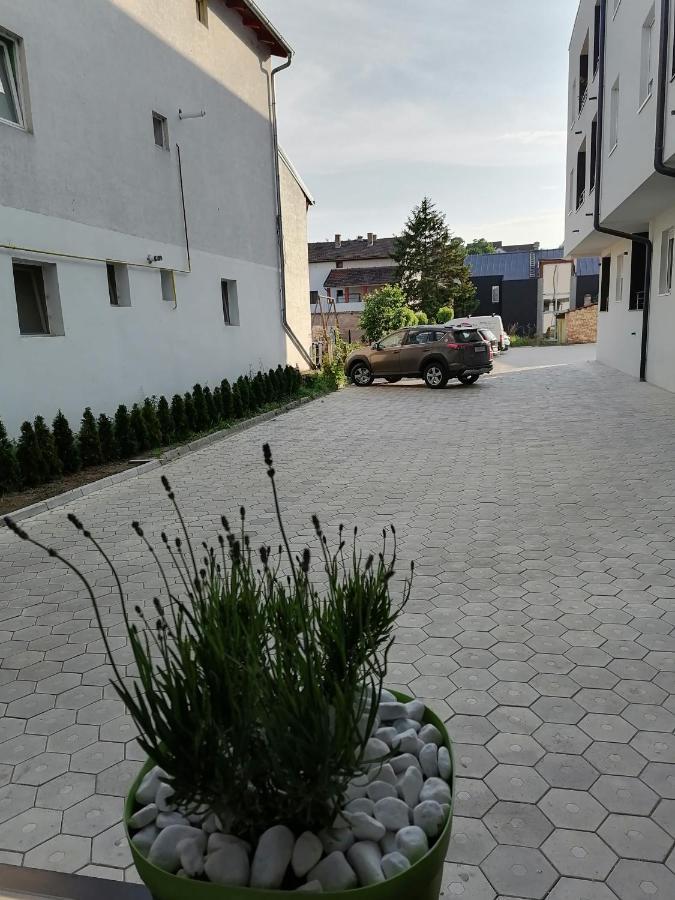Apartman Stimac Petrovaradin Exterior foto